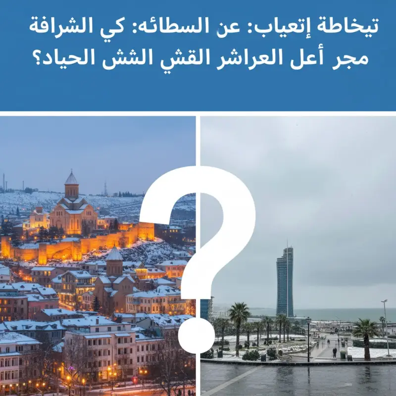 تبليسي ضد باتومي في الشتاء: أيهما أفضل لرحلة شتوية دافئة؟