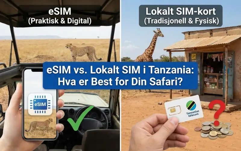 eSIM vs. Lokalt SIM i Tanzania: Hva er Best for Din Safari?