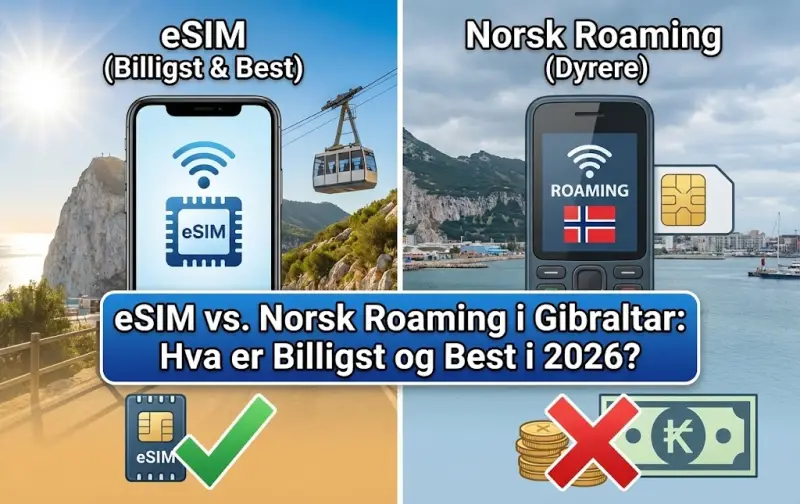 2026년 남아공 로드 트립을 위한 최고의 eSIM 가이드