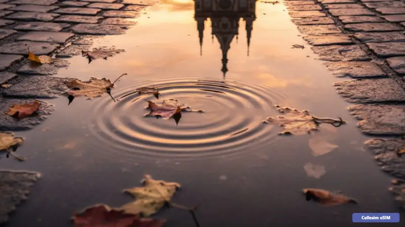 פסטיבל הפנסים בארה"ב 2026: מדריך לשימוש ב-eSIM לשידור חי ורשתות חברתיות