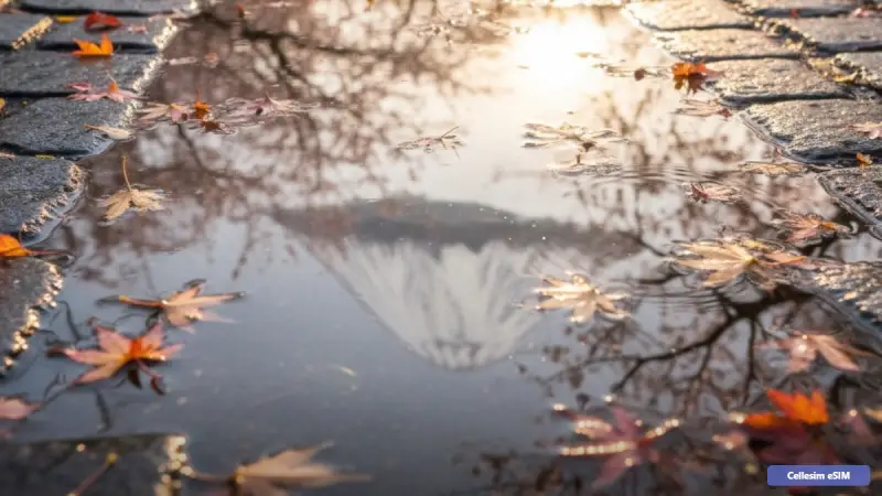 日本旅行必备eSIM：2026年上网全攻略与实用指南