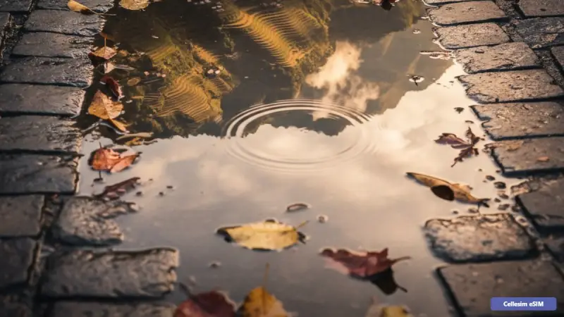 eSIM לווייטנאם 2026: המדריך המלא לקישוריות חלקה בטיול שלכם