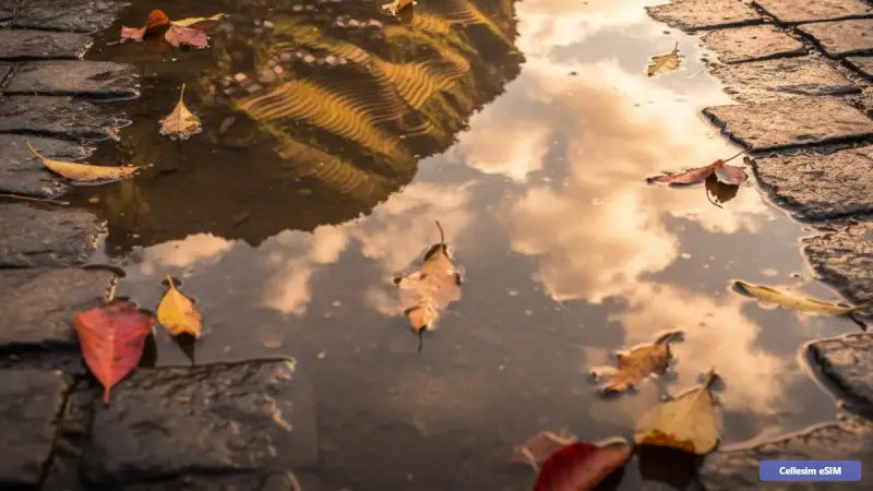 eSIM Wietnamu 2026: Twój Kompletny Przewodnik po Łączności w Azji Południowo-Wschodniej