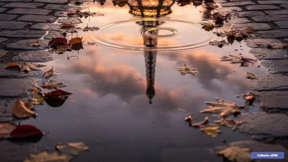 איסים לבהאמס 2026: המדריך המלא לחיבור רציף באיים הקסומים