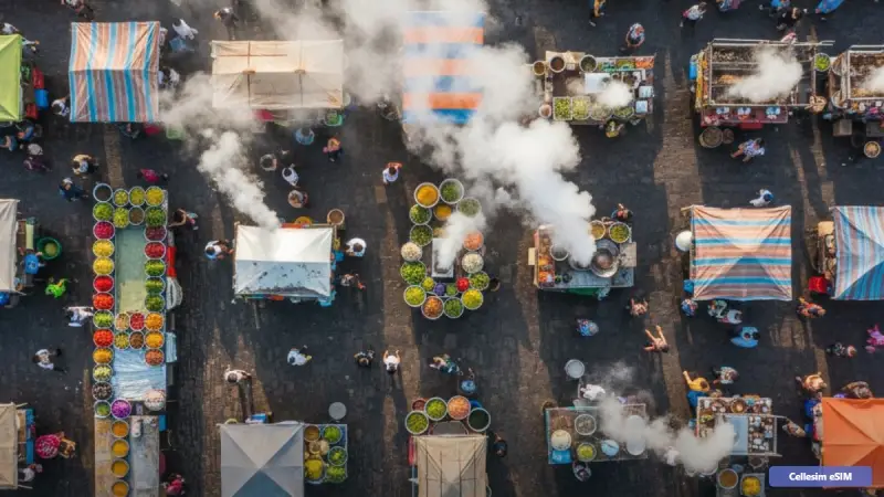 What is Data Roaming? The Essential Guide for Cellesim Travelers in 2026