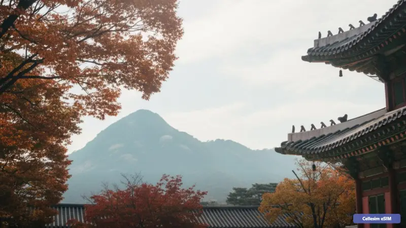 Südkorea 2026: Die 3 größten Roaming-Fallen & wie Sie sparen