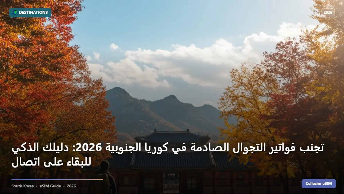 تجنب فواتير التجوال الصادمة في كوريا الجنوبية 2026: دليلك الذكي للبقاء على اتصال