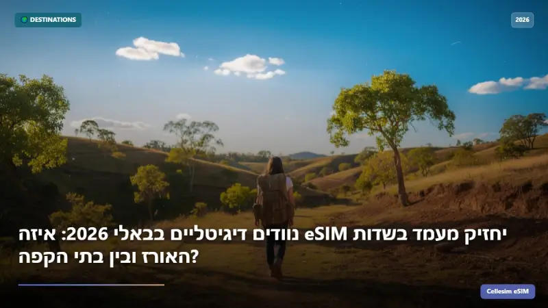 נוודים דיגיטליים בבאלי 2026: איזה eSIM יחזיק מעמד בשדות האורז ובין בתי הקפה?