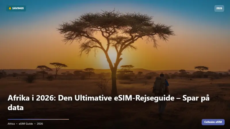 Afrika i 2026: Den Ultimative eSIM-Rejseguide – Spar på data