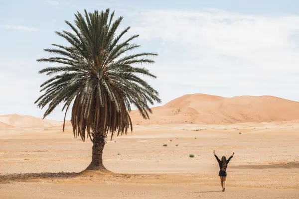 Orta Doğu ve Kuzey Afrika