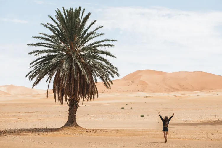 Orta Doğu ve Kuzey Afrika eSIM
